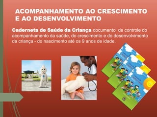 ACOMPANHAMENTO AO CRESCIMENTO
E AO DESENVOLVIMENTO
Caderneta de Saúde da Criança documento de controle do
acompanhamento da saúde, do crescimento e do desenvolvimento
da criança - do nascimento até os 9 anos de idade.
 