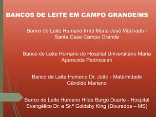 BANCOS DE LEITE EM CAMPO GRANDE/MS
Banco de Leite Humano Irmã Maria José Machado -
Santa Casa Campo Grande
Banco de Leite Humano do Hospital Universitário Maria
Aparecida Pedrossian
Banco de Leite Humano Dr. João - Maternidade
Cândido Mariano
Banco de Leite Humano Hilda Burgo Duarte - Hospital
Evangélico Dr. e Sr.ª Goldsby King (Dourados – MS)
 