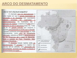 ARCO DO DESMATAMENTO 
 