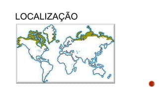 LOCALIZAÇÃO
 
