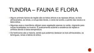  Alguns animais típicos da região são os lobos árticos e as raposas árticas, os bois
almiscarados, as renas, a coruja-das-neves, o cisne da tundra, a perdiz das neves e a
lebre ártica.
 Algumas aves e mamíferos utilizam essa vegetação apenas no verão, migrando para
outras localidades no inverno. É praticamente ausente a existência de répteis e
anfíbios devido à baixa temperatura.
 Os herbívoros são a maioria, sendo que podemos destacar os bois almiscarados, os
lemingues, renas e lebres do ártico.
 