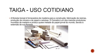  A floresta boreal é fornecedora de madeira para a construção, fabricação de resinas,
produção de móveis e de papel e celulose. O Canadá é um dos maiores produtores
mundiais de madeira e produz quase metade do papel-jornal do mundo, devido à
extensão de sua floresta.
 
