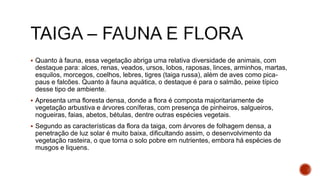  Quanto à fauna, essa vegetação abriga uma relativa diversidade de animais, com
destaque para: alces, renas, veados, ursos, lobos, raposas, linces, arminhos, martas,
esquilos, morcegos, coelhos, lebres, tigres (taiga russa), além de aves como pica-
paus e falcões. Quanto à fauna aquática, o destaque é para o salmão, peixe típico
desse tipo de ambiente.
 Apresenta uma floresta densa, donde a flora é composta majoritariamente de
vegetação arbustiva e árvores coníferas, com presença de pinheiros, salgueiros,
nogueiras, faias, abetos, bétulas, dentre outras espécies vegetais.
 Segundo as características da flora da taiga, com árvores de folhagem densa, a
penetração de luz solar é muito baixa, dificultando assim, o desenvolvimento da
vegetação rasteira, o que torna o solo pobre em nutrientes, embora há espécies de
musgos e liquens.
 