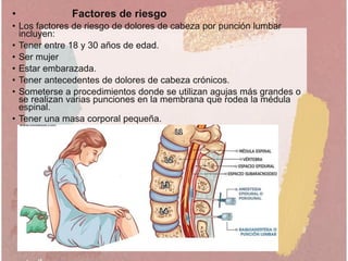 • Factores de riesgo
• Los factores de riesgo de dolores de cabeza por punción lumbar
incluyen:
• Tener entre 18 y 30 años de edad.
• Ser mujer
• Estar embarazada.
• Tener antecedentes de dolores de cabeza crónicos.
• Someterse a procedimientos donde se utilizan agujas más grandes o
se realizan varias punciones en la membrana que rodea la médula
espinal.
• Tener una masa corporal pequeña.
 