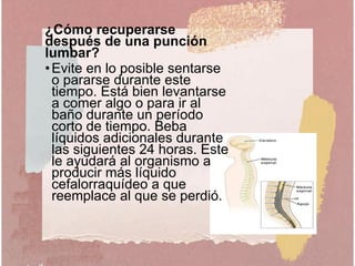¿Cómo recuperarse
después de una punción
lumbar?
•Evite en lo posible sentarse
o pararse durante este
tiempo. Está bien levantarse
a comer algo o para ir al
baño durante un período
corto de tiempo. Beba
líquidos adicionales durante
las siguientes 24 horas. Este
le ayudará al organismo a
producir más líquido
cefalorraquídeo a que
reemplace al que se perdió.
 