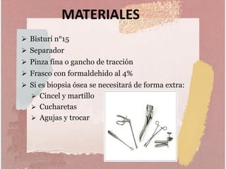 MATERIALES
 Bisturí n°15
 Separador
 Pinza fina o gancho de tracción
 Frasco con formaldehido al 4%
 Si es biopsia ósea se necesitará de forma extra:
 Cincel y martillo
 Cucharetas
 Agujas y trocar
 