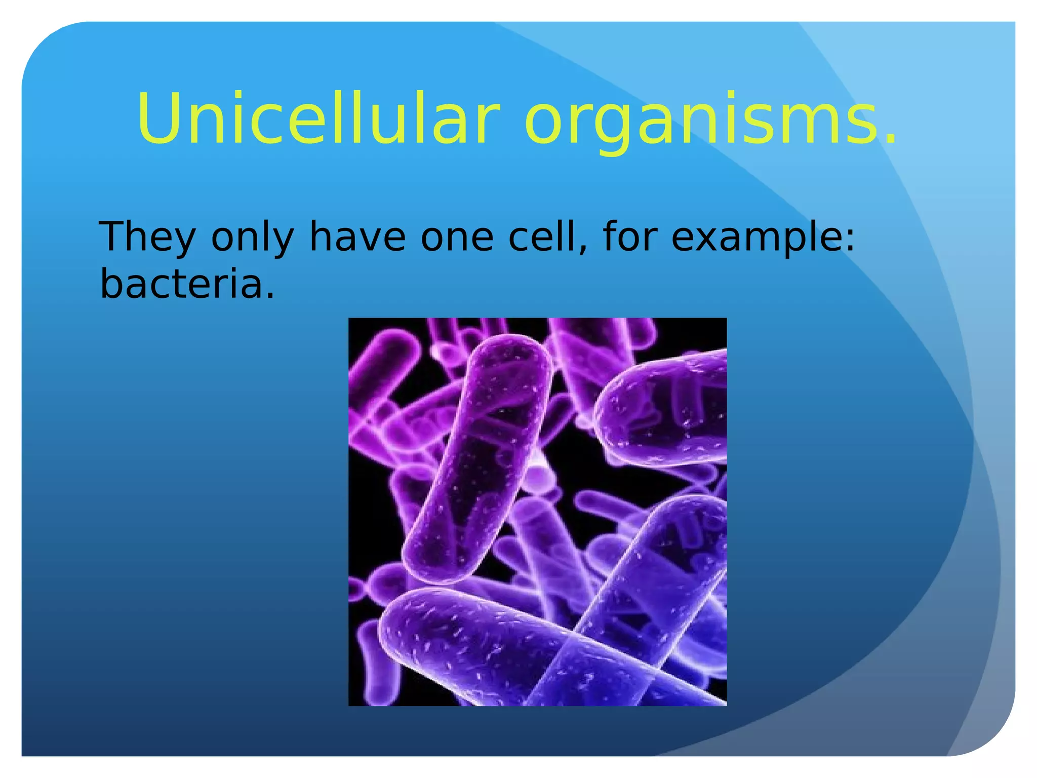 Unicellular organisms.
They only have one cell, for example:
bacteria.
 