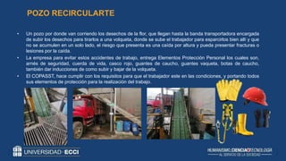 • Un pozo por donde van corriendo los desechos de la flor, que llegan hasta la banda transportadora encargada
de subir los desechos para tirarlos a una volqueta, donde se sube el trabajador para esparcirlos bien allí y que
no se acumulen en un solo lado, el riesgo que presenta es una caída por altura y pueda presentar fracturas o
lesiones por la caída.
• La empresa para evitar estos accidentes de trabajo, entrega Elementos Protección Personal los cuales son,
arnés de seguridad, cuerda de vida, casco rojo, guantes de caucho, guantes vaqueta, botas de caucho,
también dar inducciones de como subir y bajar de la volqueta.
• El COPASST, hace cumplir con los requisitos para que el trabajador este en las condiciones, y portando todos
sus elementos de protección para la realización del trabajo.
POZO RECIRCULARTE
 
