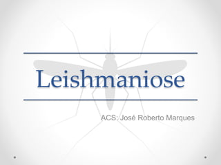Leishmaniose
ACS: José Roberto Marques
 