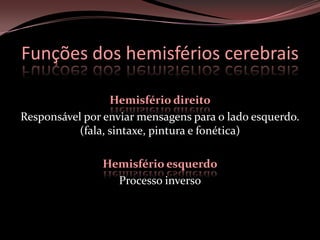 Avaliação, Acompanhamento e Reabilitação.Especialização hemisférica cerebralOs hemisféricos cerebrais possuem estruturas e organizações que permitem o processamento, armazenamento e expressão de funções específicas. Funções dos hemisférios cerebraisHemisfério direitoResponsável por enviar mensagens para o lado esquerdo. (fala, sintaxe, pintura e fonética)Hemisfério esquerdoProcesso inverso