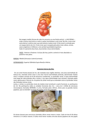 Trablho de anatomia | DOCX