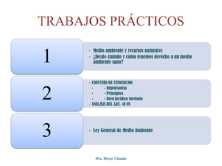 TRABAJOS PRÁCTICOS

1

• Medio ambiente y recursos naturales
• ¿Desde cuándo y cómo tenemos derecho a un medio
ambiente sano?

2

• CONVENIO DE ESTOCOLMO:
•
- Importancia
•
- Principios
•
- Bien jurídico tutelado
• ANÁLISIS DEL ART. 41 CN

3

• Ley General de Medio Ambiente

Dra. Moray Claudia

 