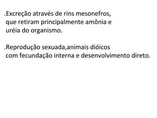 .Excreção através de rins mesonefros,
 que retiram principalmente amônia e
 uréia do organismo.

.Reprodução sexuada,animais dióicos
 com fecundação interna e desenvolvimento direto.
 