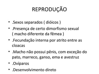 REPRODUÇÃO

• .Sexos separados ( dióicos )
• .Presença de certo dimorfismo sexual
  ( macho diferente da fêmea )
• .Fecundação interna por atrito entre as
  cloacas
• .Macho não possui pênis, com exceção do
  pato, marreco, ganso, ema e avestruz
• .Ovíparos
• .Desenvolvimento direto
 