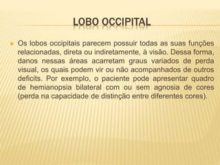 LOBO OCCIPITAL
 Os lobos occipitais parecem possuir todas as suas funções
relacionadas, direta ou indiretamente, à visão. Dessa forma,
danos nessas áreas acarretam graus variados de perda
visual, os quais podem vir ou não acompanhados de outros
deficits. Por exemplo, o paciente pode apresentar quadro
de hemianopsia bilateral com ou sem agnosia de cores
(perda na capacidade de distinção entre diferentes cores).
 
