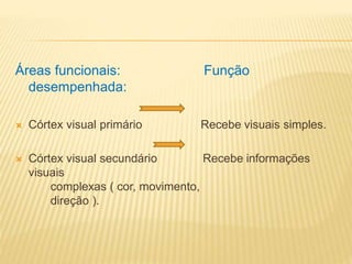 Áreas funcionais: Função
desempenhada:
 Córtex visual primário Recebe visuais simples.
 Córtex visual secundário Recebe informações
visuais
complexas ( cor, movimento,
direção ).
 