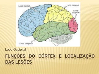 FUNÇÕES DO CÓRTEX E LOCALIZAÇÃO
DAS LESÕES
Lobo Occipital
 