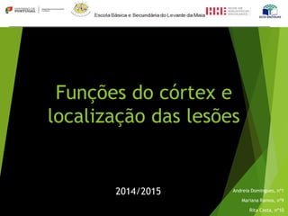 Funções do córtex e
localização das lesões
Andreia Domingues, nº1
Mariana Ramos, nº9
Rita Costa, nº10
2014/2015
 