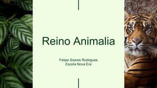 Reino Animalia
Felipe Soares Rodrigues
Escola Nova Era
 