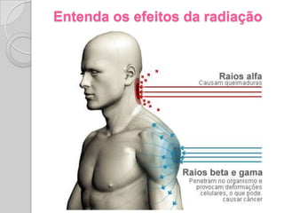 ProblematizaçãoVimos que o vazamento de substâncias radioativas proveniente das explosões nos reatores nucleares fez com que as autoridades estabelecessem uma área de segurança ao redor, na qual muitas famílias foram retiradas de suas casas e levadas para abrigos improvisados. No entanto, o nível de radiação demorará dezenas de ano para ser controlada. Dessa forma, qual será o destino e como será o futuro das centenas de famílias que habitavam a região?