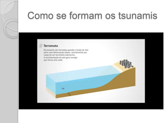 As imagens chocaram o Japão e o mundo. Um aconteci-mento nunca antes visto com tamanha intensidade deixou rastros por toda a costa japonesa. Carros, casas, aviões, prédios, redes de iluminação, tudo foi levado pela onda que atingiu 700 km/h em alto mar. Ao se aproximar da costa, sua velocidade diminuiu, mas a altura cresceu à medida que o fundo do mar ficou mais raso, chegando a 10 metros de altura. Sinais de alertaPor ter tido origem muito próxima do Japão, o país foi o mais atingido, no entanto não foi o único.  Rússia, Taiwan, Filipinas, Indonésia, Papua Nova Guiné, Fiji, México, Guatemala, El Salvador, Costa Rica, Nicarágua, Panamá, Honduras, Chile, Equador, Colômbia, Peru e Estados Unidos (Havaí,  Alasca e o estado da Califórnia) foram alertados de que poderiam ser atingidos logo depois de a onda gigante ter atingido o país do leste asiático.