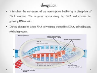 Trabscription vishal | PPTX