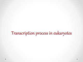 Transcription process in eukaryotes
 