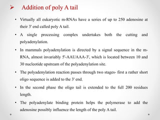  Addition of poly A tail
• Virtually all eukaryotic m-RNAs have a series of up to 250 adenosine at
their 3' end called poly A tail.
• A single processing complex undertakes both the cutting and
polyadenylation.
• In mammals polyadenylation is directed by a signal sequence in the m-
RNA, almost invariably 5'-AAUAAA-3', which is located between 10 and
30 nucleotide upstream of the polyadenylation site.
• The polyadenylation reaction passes through two stages- first a rather short
oligo sequence is added to the 3' end.
• In the second phase the oligo tail is extended to the full 200 residues
length.
• The polyadenylate binding protein helps the polymerase to add the
adenosine possibly influence the length of the poly A tail.
 