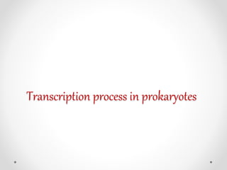 Transcription process in prokaryotes
 