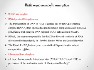 Basicrequirement of transcription
• SS DNA as a template.
• DNA dependent RNA polymerase
 The transcription of DNA to RNA is carried out by RNA polymerase
enzyme (RNAPs) that operated as multi subunit complexes as do the DNA
polymerase that catalyze DNA replication.All cells contain RNAPs.
 RNAPs the enzyme responsible for the DNA directed synthesis of RNA
discovered independently in 1960 by Samuel Weiss and Jerard Hurwitz.
 The E.coli RNAPs holoenzyme is an -449 –KD protein with subunit
composition α2ββ'ωσ.
• Ribonucleoside tri phosphate
 all four ribonucleoside 5'-triphosphates (ATP, GTP, UTP, and CTP) as
precursors of the nucleotide units of RNA, as well as Mg2+.
 