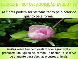 As flores podem ser vistosas tanto pelo colorido 
quanto pela forma. 
Muitas vezes também exalam odor agradável e 
produzem um líquido açucarado – o néctar – que serve 
de alimento para abelhas e outros animais. 
 