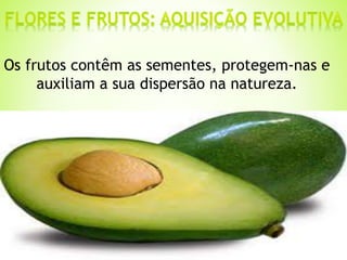 Os frutos contêm as sementes, protegem-nas e 
auxiliam a sua dispersão na natureza. 
 