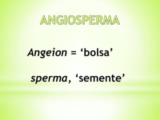 Angeion = ‘bolsa’ 
sperma, ‘semente’ 
 