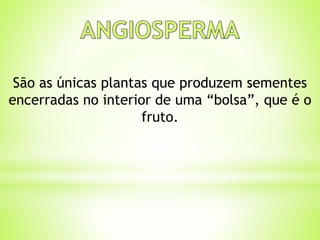 São as únicas plantas que produzem sementes 
encerradas no interior de uma “bolsa”, que é o 
fruto. 
 