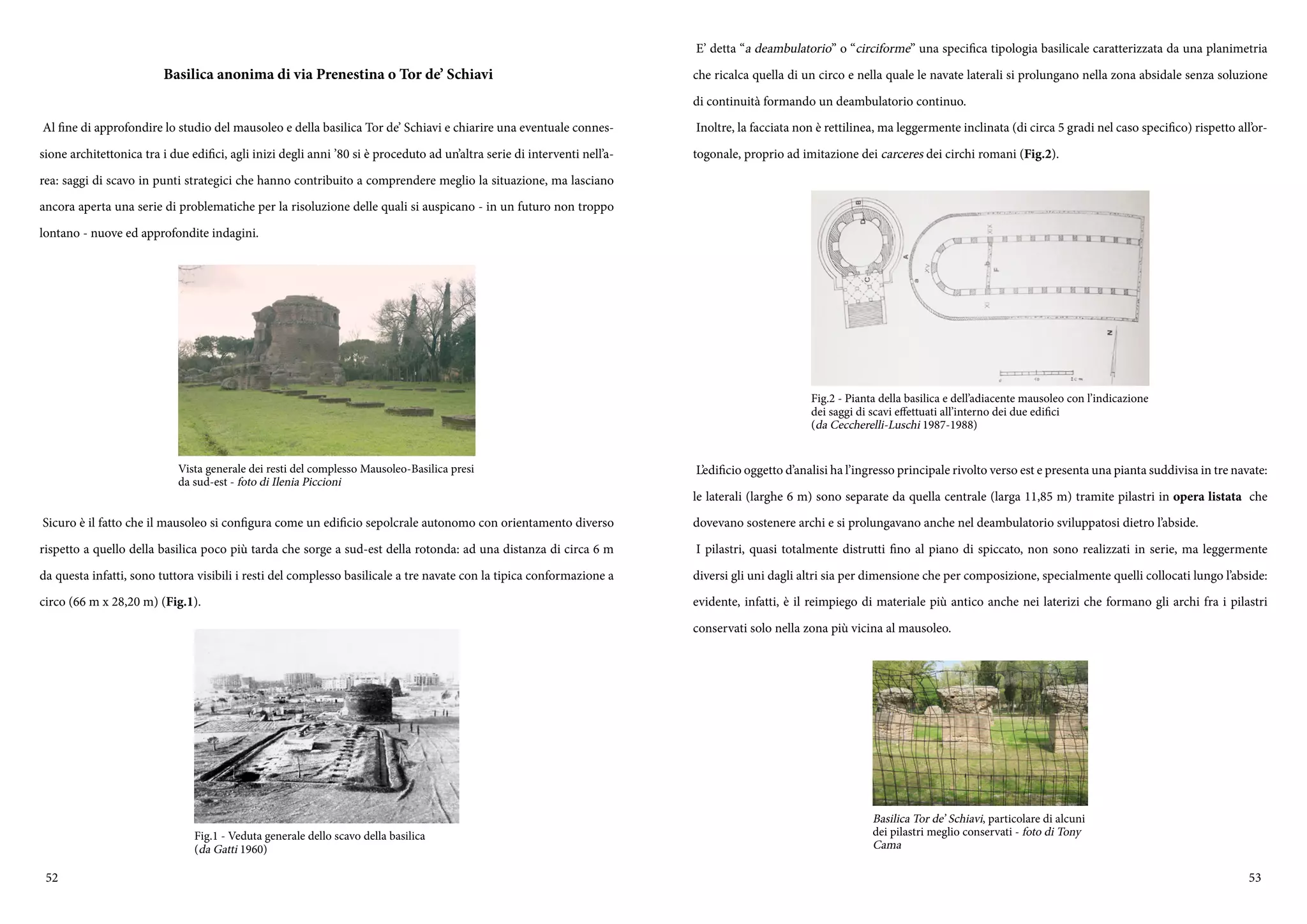 52 53
Basilica anonima di via Prenestina o Tor de’ Schiavi
Al fine di approfondire lo studio del mausoleo e della basilica Tor de’ Schiavi e chiarire una eventuale connes-
sione architettonica tra i due edifici, agli inizi degli anni ’80 si è proceduto ad un’altra serie di interventi nell’a-
rea: saggi di scavo in punti strategici che hanno contribuito a comprendere meglio la situazione, ma lasciano
ancora aperta una serie di problematiche per la risoluzione delle quali si auspicano - in un futuro non troppo
lontano - nuove ed approfondite indagini.
Sicuro è il fatto che il mausoleo si configura come un edificio sepolcrale autonomo con orientamento diverso
rispetto a quello della basilica poco più tarda che sorge a sud-est della rotonda: ad una distanza di circa 6 m
da questa infatti, sono tuttora visibili i resti del complesso basilicale a tre navate con la tipica conformazione a
circo (66 m x 28,20 m) (Fig.1).
Vista generale dei resti del complesso Mausoleo-Basilica presi
da sud-est - foto di Ilenia Piccioni
Fig.1 - Veduta generale dello scavo della basilica
(da Gatti 1960)
E’ detta “a deambulatorio” o “circiforme” una specifica tipologia basilicale caratterizzata da una planimetria
che ricalca quella di un circo e nella quale le navate laterali si prolungano nella zona absidale senza soluzione
di continuità formando un deambulatorio continuo.
Inoltre, la facciata non è rettilinea, ma leggermente inclinata (di circa 5 gradi nel caso specifico) rispetto all’or-
togonale, proprio ad imitazione dei carceres dei circhi romani (Fig.2).
L’edificio oggetto d’analisi ha l’ingresso principale rivolto verso est e presenta una pianta suddivisa in tre navate:
le laterali (larghe 6 m) sono separate da quella centrale (larga 11,85 m) tramite pilastri in opera listata che
dovevano sostenere archi e si prolungavano anche nel deambulatorio sviluppatosi dietro l’abside.
I pilastri, quasi totalmente distrutti fino al piano di spiccato, non sono realizzati in serie, ma leggermente
diversi gli uni dagli altri sia per dimensione che per composizione, specialmente quelli collocati lungo l’abside:
evidente, infatti, è il reimpiego di materiale più antico anche nei laterizi che formano gli archi fra i pilastri
conservati solo nella zona più vicina al mausoleo.
Fig.2 - Pianta della basilica e dell’adiacente mausoleo con l’indicazione
dei saggi di scavi effettuati all’interno dei due edifici
(da Ceccherelli-Luschi 1987-1988)
Basilica Tor de’ Schiavi, particolare di alcuni
dei pilastri meglio conservati - foto di Tony
Cama
 