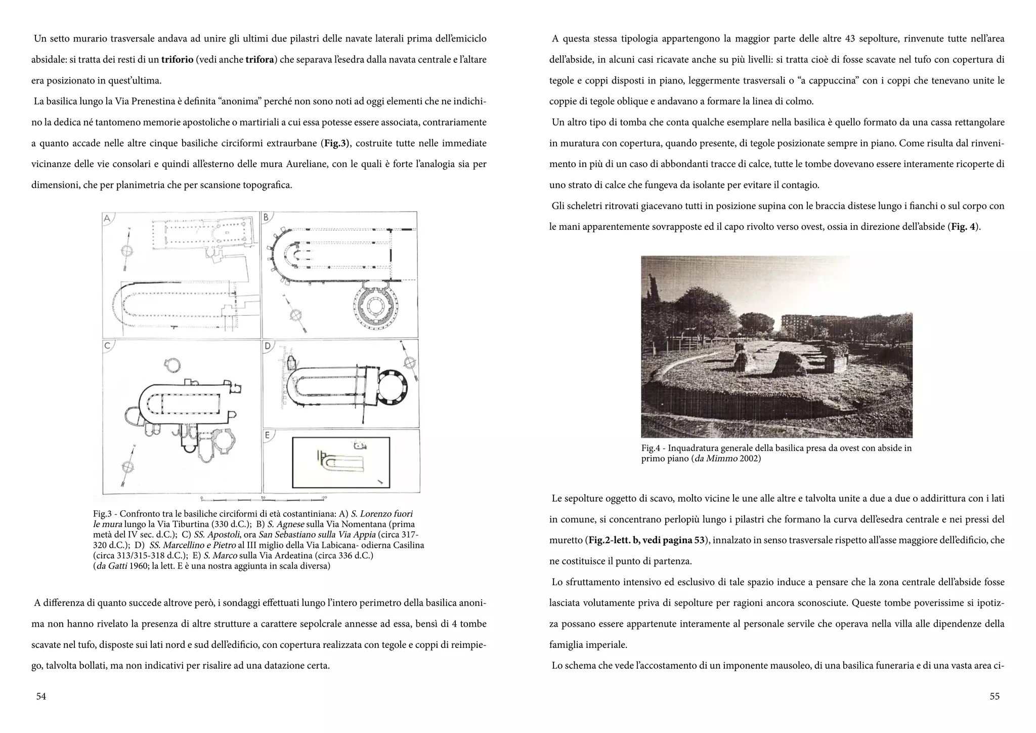 54 55
Un setto murario trasversale andava ad unire gli ultimi due pilastri delle navate laterali prima dell’emiciclo
absidale: si tratta dei resti di un triforio (vedi anche trifora) che separava l’esedra dalla navata centrale e l’altare
era posizionato in quest’ultima.
La basilica lungo la Via Prenestina è definita “anonima” perché non sono noti ad oggi elementi che ne indichi-
no la dedica né tantomeno memorie apostoliche o martiriali a cui essa potesse essere associata, contrariamente
a quanto accade nelle altre cinque basiliche circiformi extraurbane (Fig.3), costruite tutte nelle immediate
vicinanze delle vie consolari e quindi all’esterno delle mura Aureliane, con le quali è forte l’analogia sia per
dimensioni, che per planimetria che per scansione topografica.
A differenza di quanto succede altrove però, i sondaggi effettuati lungo l’intero perimetro della basilica anoni-
ma non hanno rivelato la presenza di altre strutture a carattere sepolcrale annesse ad essa, bensì di 4 tombe
scavate nel tufo, disposte sui lati nord e sud dell’edificio, con copertura realizzata con tegole e coppi di reimpie-
go, talvolta bollati, ma non indicativi per risalire ad una datazione certa.
Fig.3 - Confronto tra le basiliche circiformi di età costantiniana: A) S. Lorenzo fuori
le mura lungo la Via Tiburtina (330 d.C.); B) S. Agnese sulla Via Nomentana (prima
metà del IV sec. d.C.); C) SS. Apostoli, ora San Sebastiano sulla Via Appia (circa 317-
320 d.C.); D) SS. Marcellino e Pietro al III miglio della Via Labicana- odierna Casilina
(circa 313/315-318 d.C.); E) S. Marco sulla Via Ardeatina (circa 336 d.C.)
(da Gatti 1960; la lett. E è una nostra aggiunta in scala diversa)
A questa stessa tipologia appartengono la maggior parte delle altre 43 sepolture, rinvenute tutte nell’area
dell’abside, in alcuni casi ricavate anche su più livelli: si tratta cioè di fosse scavate nel tufo con copertura di
tegole e coppi disposti in piano, leggermente trasversali o “a cappuccina” con i coppi che tenevano unite le
coppie di tegole oblique e andavano a formare la linea di colmo.
Un altro tipo di tomba che conta qualche esemplare nella basilica è quello formato da una cassa rettangolare
in muratura con copertura, quando presente, di tegole posizionate sempre in piano. Come risulta dal rinveni-
mento in più di un caso di abbondanti tracce di calce, tutte le tombe dovevano essere interamente ricoperte di
uno strato di calce che fungeva da isolante per evitare il contagio.
Gli scheletri ritrovati giacevano tutti in posizione supina con le braccia distese lungo i fianchi o sul corpo con
le mani apparentemente sovrapposte ed il capo rivolto verso ovest, ossia in direzione dell’abside (Fig. 4).
Le sepolture oggetto di scavo, molto vicine le une alle altre e talvolta unite a due a due o addirittura con i lati
in comune, si concentrano perlopiù lungo i pilastri che formano la curva dell’esedra centrale e nei pressi del
muretto (Fig.2-lett. b, vedi pagina 53), innalzato in senso trasversale rispetto all’asse maggiore dell’edificio, che
ne costituisce il punto di partenza.
Lo sfruttamento intensivo ed esclusivo di tale spazio induce a pensare che la zona centrale dell’abside fosse
lasciata volutamente priva di sepolture per ragioni ancora sconosciute. Queste tombe poverissime si ipotiz-
za possano essere appartenute interamente al personale servile che operava nella villa alle dipendenze della
famiglia imperiale.
Lo schema che vede l’accostamento di un imponente mausoleo, di una basilica funeraria e di una vasta area ci-
Fig.4 - Inquadratura generale della basilica presa da ovest con abside in
primo piano (da Mimmo 2002)
 