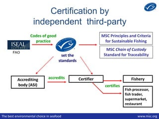 Traceability & the MSC | PPTX