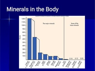 Minerals in the Body
 