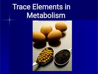 Trace Elements in 
Metabolism
 