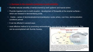 • 1. Increase in the enamel’s resistance to acid solubility
• Fluoride reduces solubility of dental enamel by both systemic and topical action.
• Fluoride ingested prior to tooth eruption - development of florapatite at the enamel surfaces –
which are resistant to demineralizing acids.
• Caries – series of demineralization/remineralization cycles where, over time, demineralization
conditions prevail.
• It can be affected in several ways.
• most effective method is by promoting remineralization and slowing down demineralization. This
can be accomplished with fluoride therapy.
 