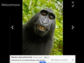 visages
perdus,
trouvés,
adoptés
6. TRACES
 