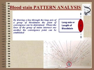 27
Blood stain PATTERN ANALYSIS
 