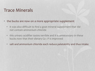 Trace Minerals
• the bucks are now on a more appropriate supplement
• it was also difficult to find a goat mineral supplem...
