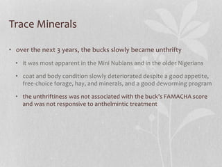 Trace Minerals
• over the next 3 years, the bucks slowly became unthrifty
• it was most apparent in the Mini Nubians and i...