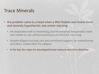 Trace Minerals
• the problem came to a head when a Mini Nubian was found down
and severely hypothermic one winter morning
...