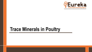 Trace Minerals in Poultry
 