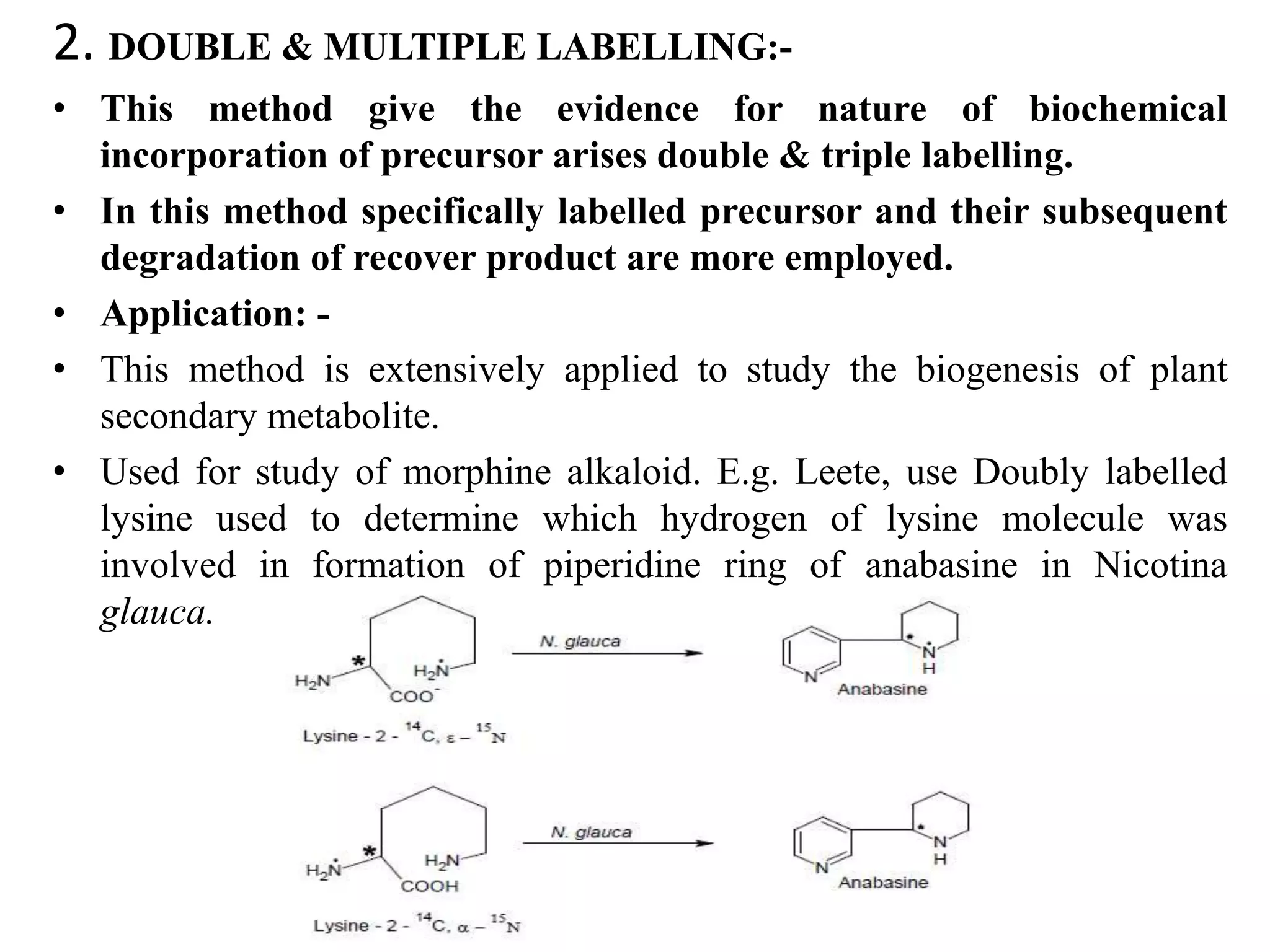 2. DOUBLE & MULTIPLE LABELLING:-
• This method give the evidence for nature of biochemical
incorporation of precursor arises double & triple labelling.
• In this method specifically labelled precursor and their subsequent
degradation of recover product are more employed.
• Application: -
• This method is extensively applied to study the biogenesis of plant
secondary metabolite.
• Used for study of morphine alkaloid. E.g. Leete, use Doubly labelled
lysine used to determine which hydrogen of lysine molecule was
involved in formation of piperidine ring of anabasine in Nicotina
glauca.
 