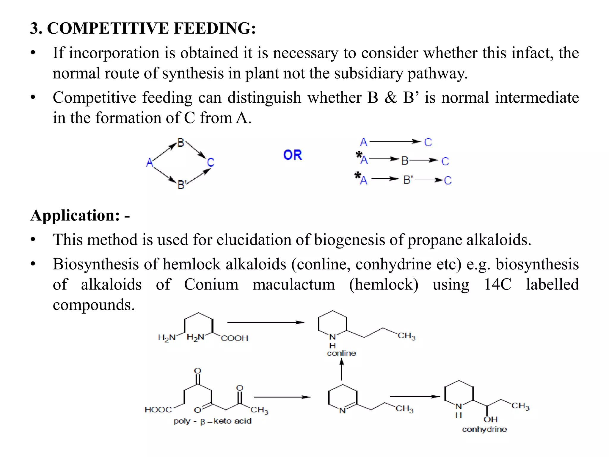 3. COMPETITIVE FEEDING:
• If incorporation is obtained it is necessary to consider whether this infact, the
normal route of synthesis in plant not the subsidiary pathway.
• Competitive feeding can distinguish whether B & B’ is normal intermediate
in the formation of C from A.
Application: -
• This method is used for elucidation of biogenesis of propane alkaloids.
• Biosynthesis of hemlock alkaloids (conline, conhydrine etc) e.g. biosynthesis
of alkaloids of Conium maculactum (hemlock) using 14C labelled
compounds.
 
