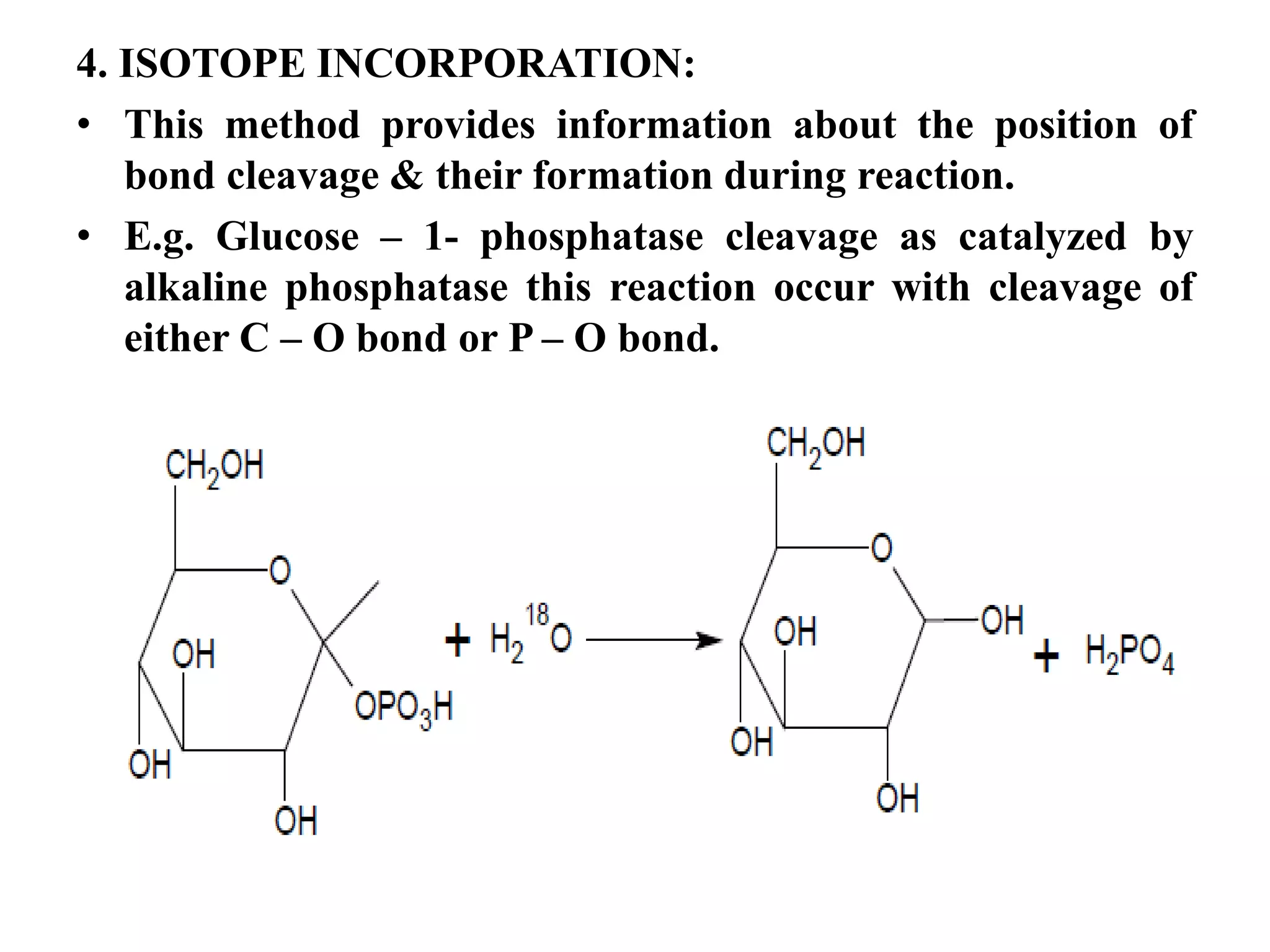 4. ISOTOPE INCORPORATION:
• This method provides information about the position of
bond cleavage & their formation during reaction.
• E.g. Glucose – 1- phosphatase cleavage as catalyzed by
alkaline phosphatase this reaction occur with cleavage of
either C – O bond or P – O bond.
 