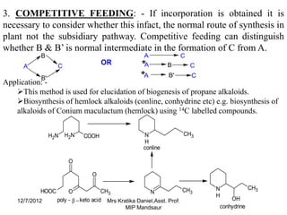 3. COMPETITIVE FEEDING: - If incorporation is obtained it is
necessary to consider whether this infact, the normal route of synthesis in
plant not the subsidiary pathway. Competitive feeding can distinguish
whether B & B’ is normal intermediate in the formation of C from A.
            B                                         A              C
                   C
                                     OR               A         B        C
      A
            B'                                        A         B'       C
Application: -
   This method is used for elucidation of biogenesis of propane alkaloids.
   Biosynthesis of hemlock alkaloids (conline, conhydrine etc) e.g. biosynthesis of
   alkaloids of Conium maculactum (hemlock) using 14C labelled compounds.


                 H2N   H2N   COOH                     N               CH3
                                                      H
                                                      conline

                        O

                                 O

                                                                       CH3   N            CH3
            HOOC        O              CH3               N
                                                                             H
    12/7/2012      poly - β − keto acid Mrs Kratika Daniel,Asst. Prof.           OH
                                              MIP Mandsaur                   conhydrine
 